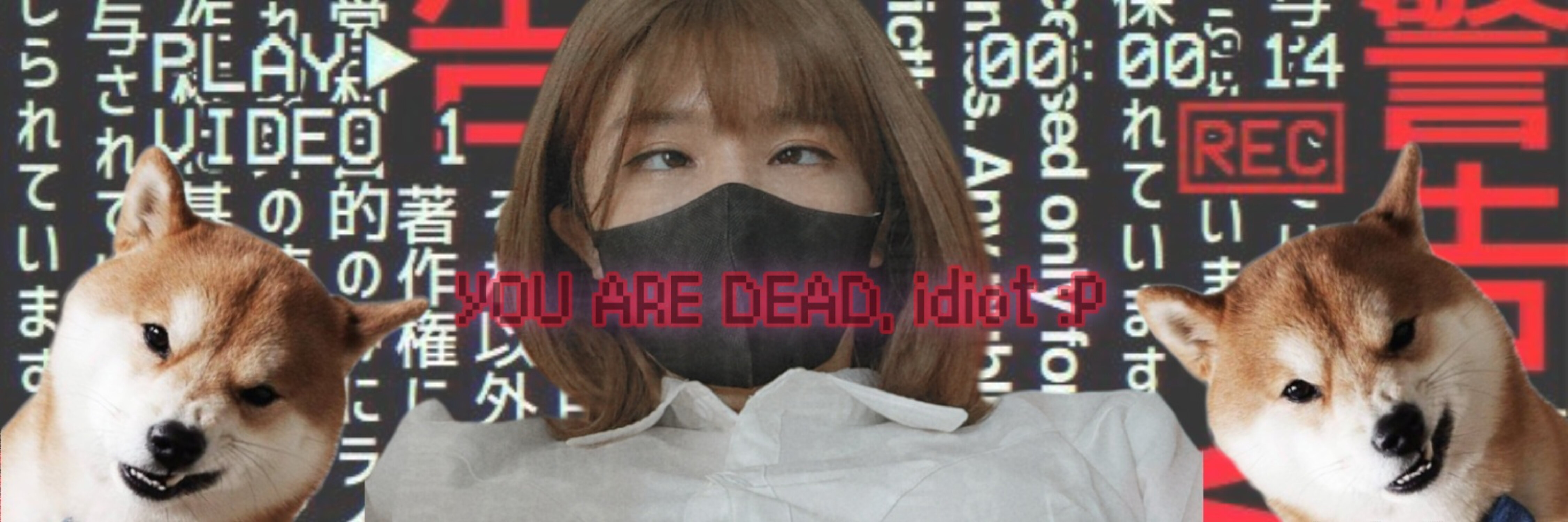 Hello Boo banner image
