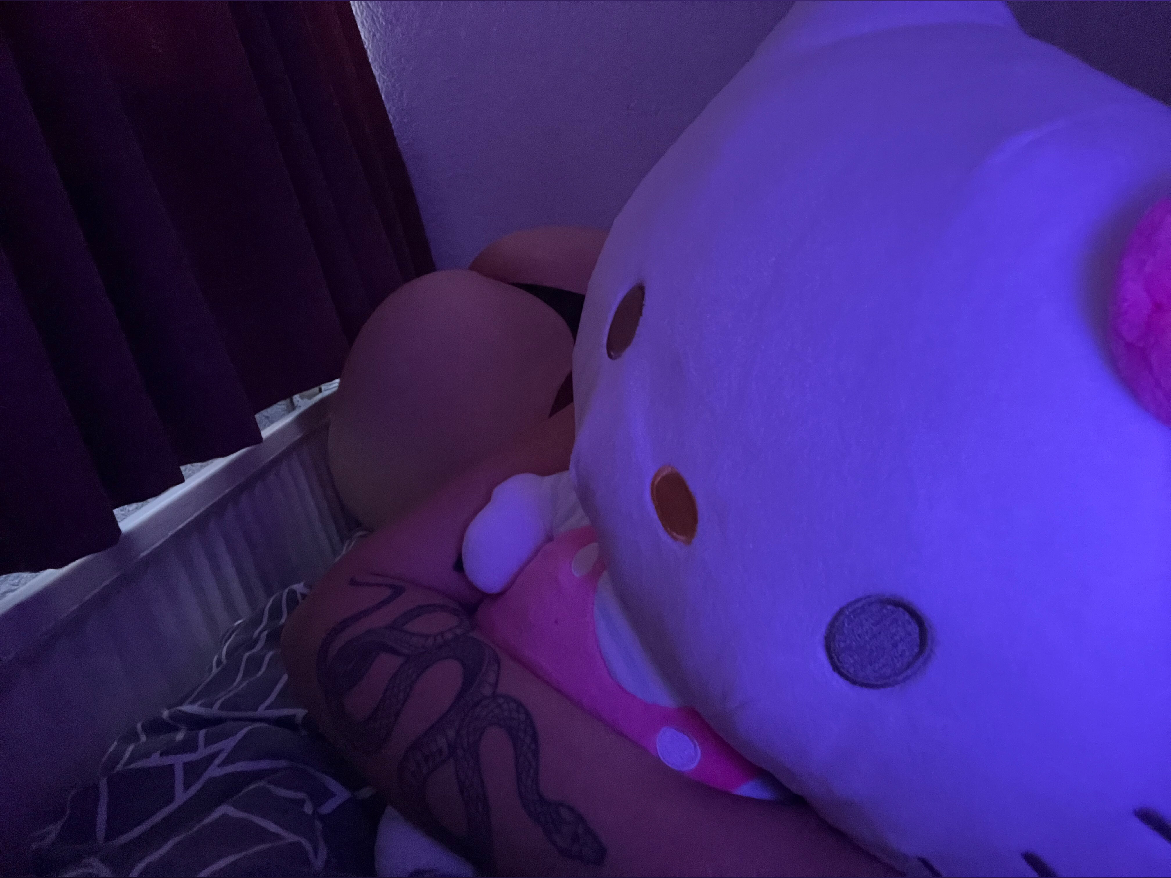 Hello Kitty Iggy banner image