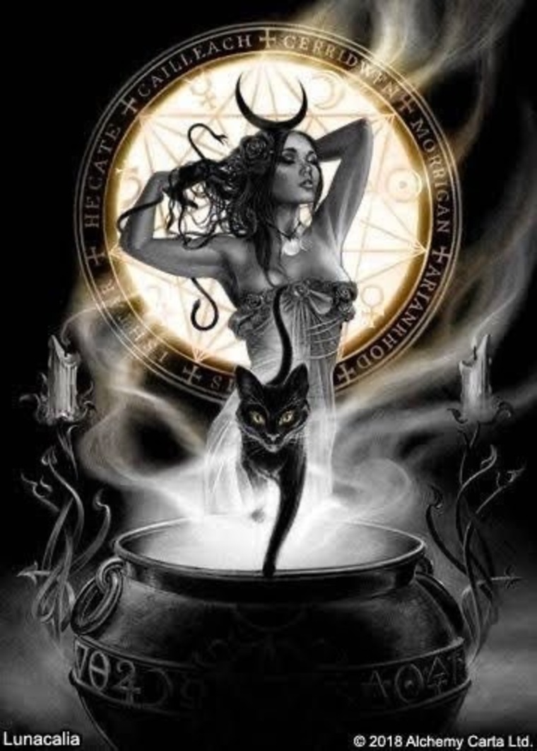 Helltatted cover image