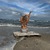 Hels_world avatar
