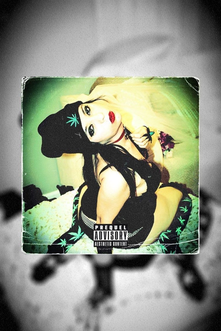 Henatistonergirl666 cover image