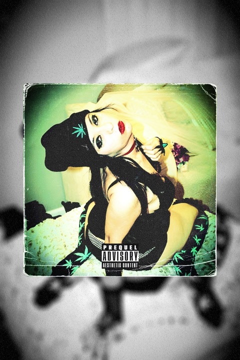 Henatistonergirl666 cover image