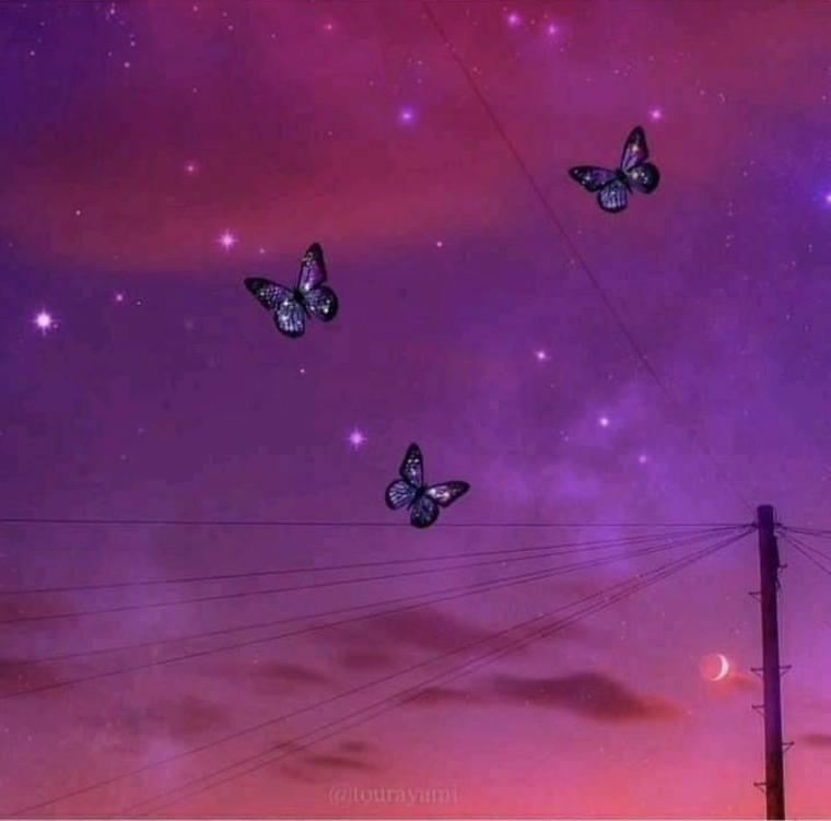ππ²π΅ π«πͺπ«π π banner image