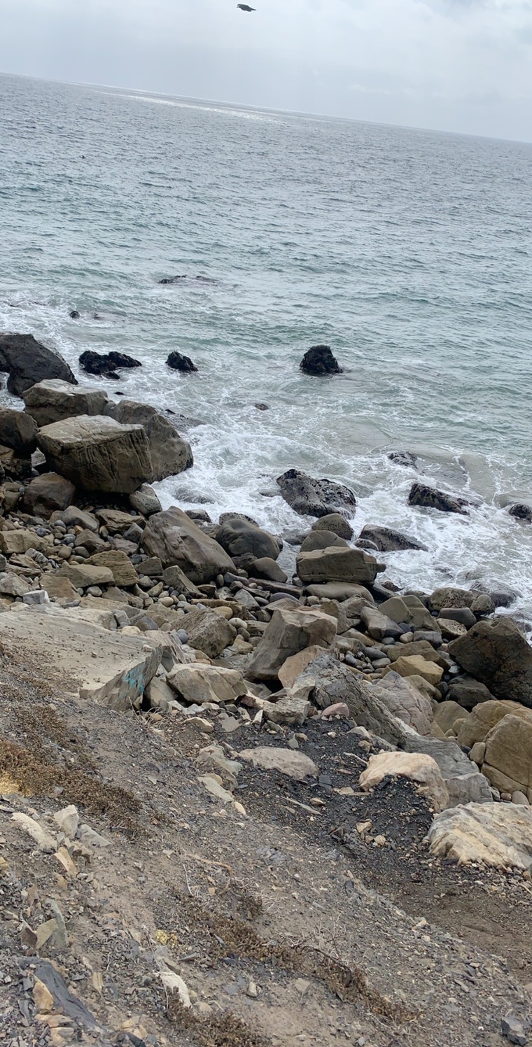 u242027526 banner image