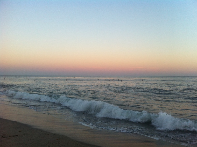 Ava cover image