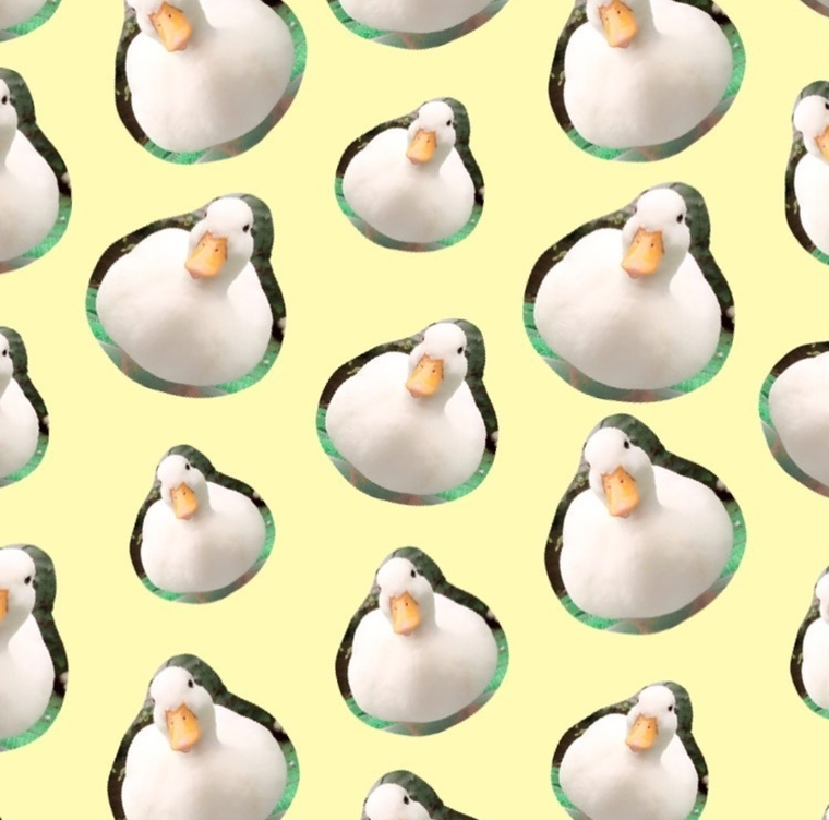 Hairy Bee ๐ banner image