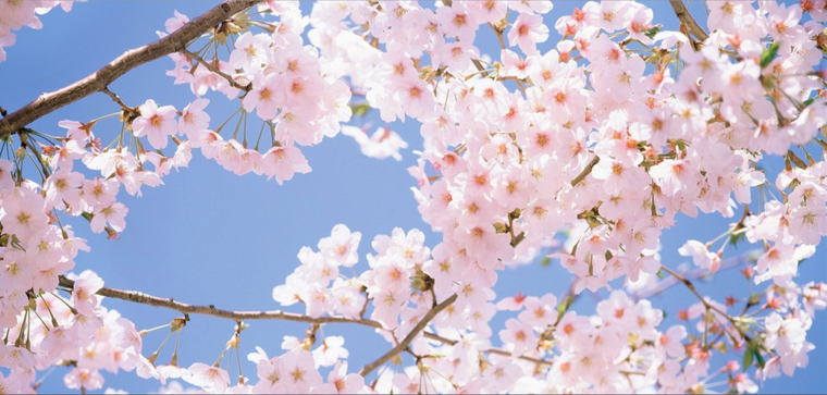Aimee Amor banner image