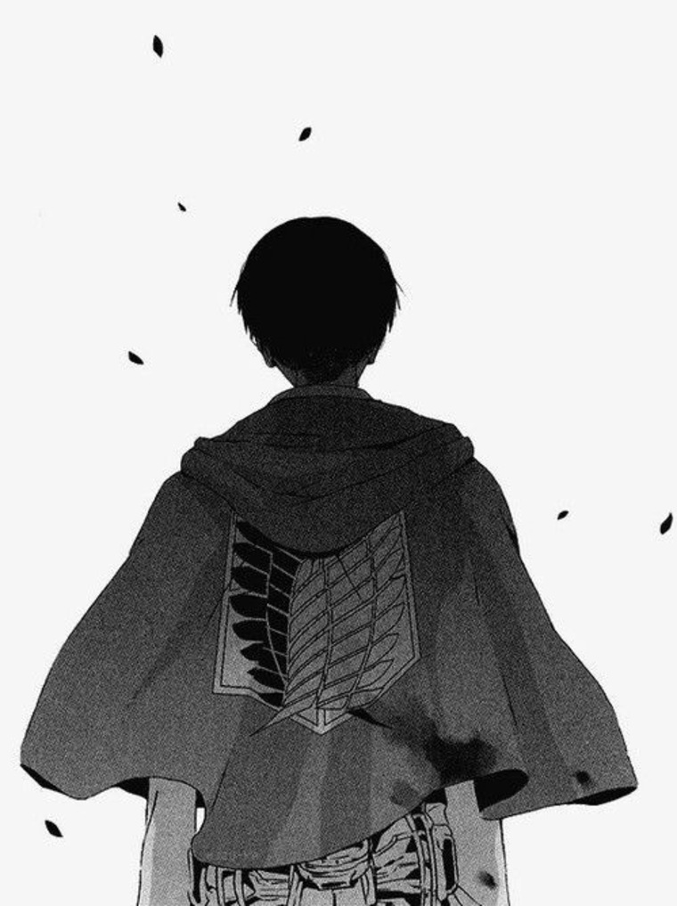 Daniel Fit banner image
