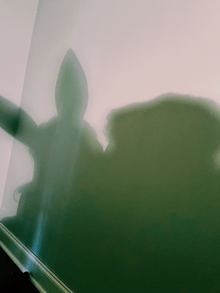 Hannah banner image