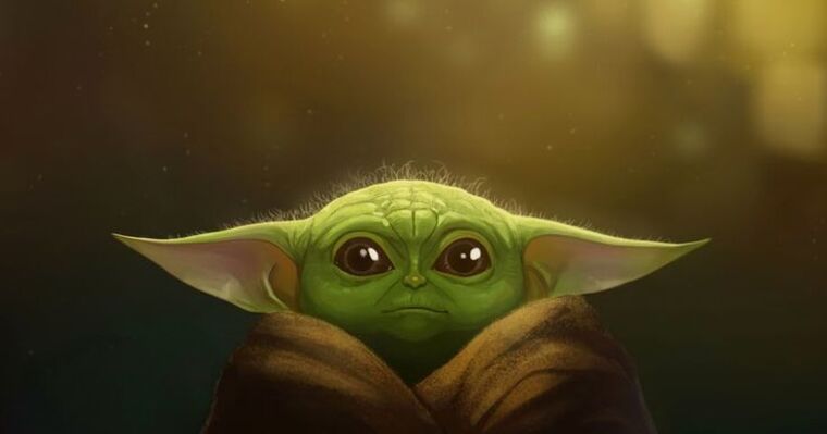 HeyTurtleTurtle banner image