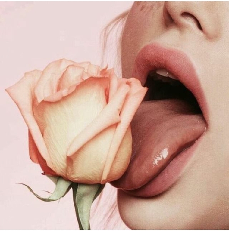 T cover image