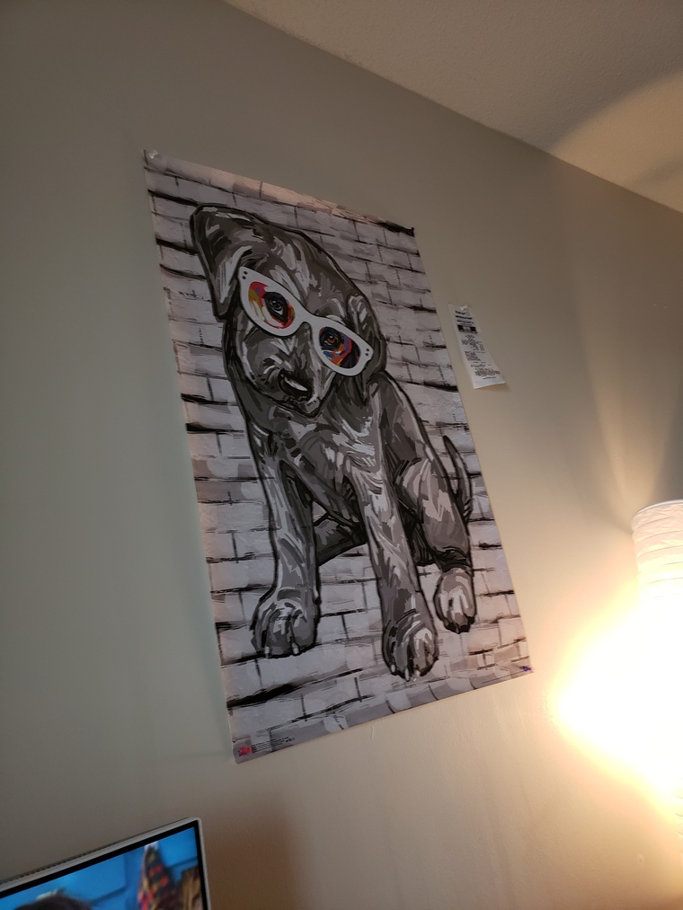 TacoPup cover image