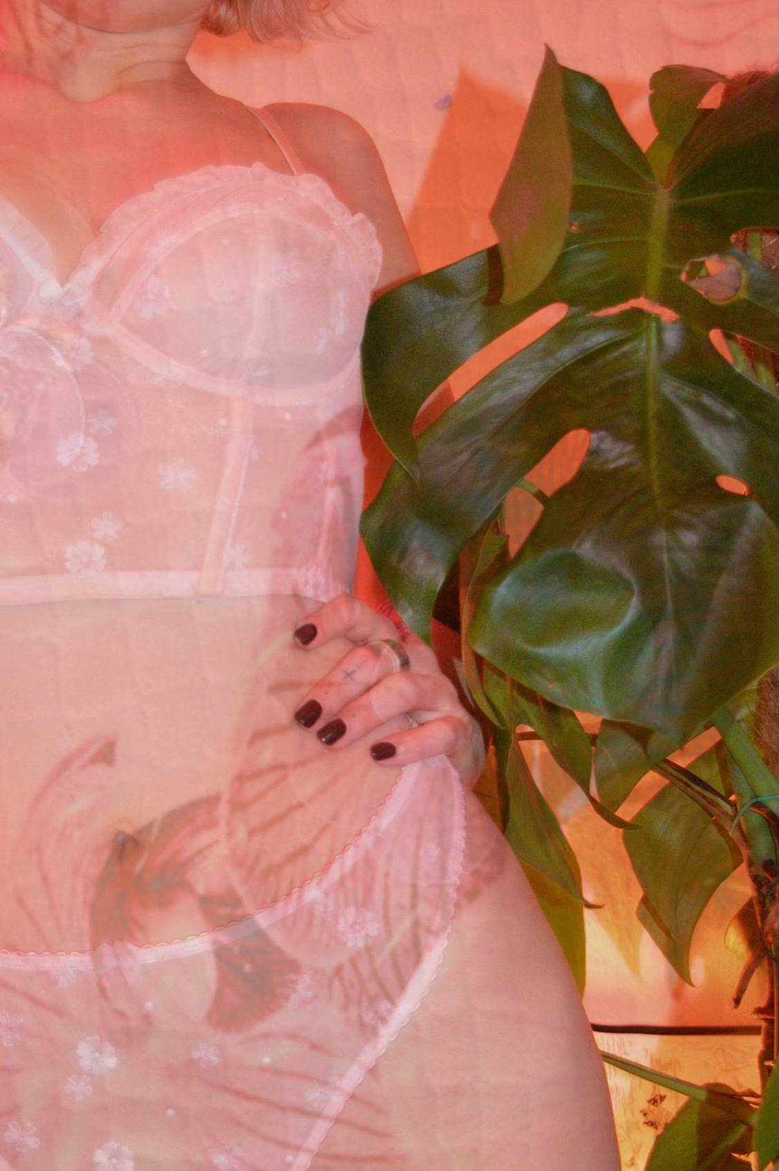เผบ ๐๐๐๐๐ เผป banner image