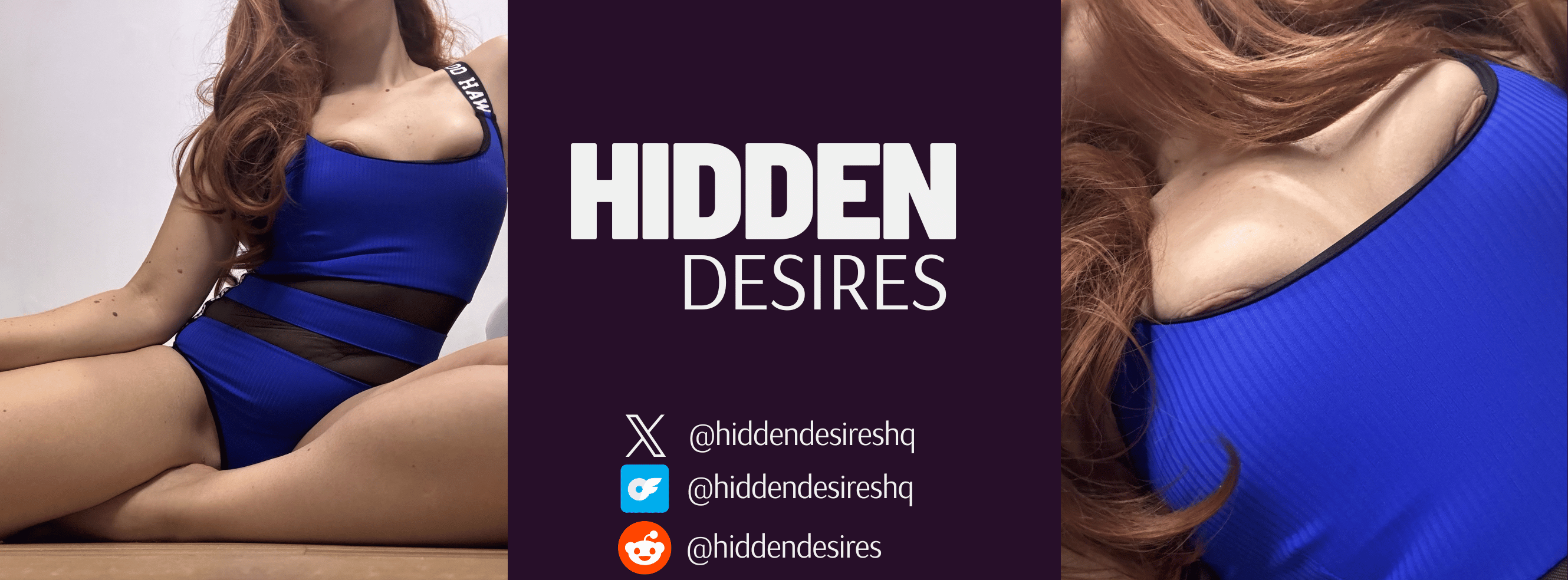 hiddendesires banner image