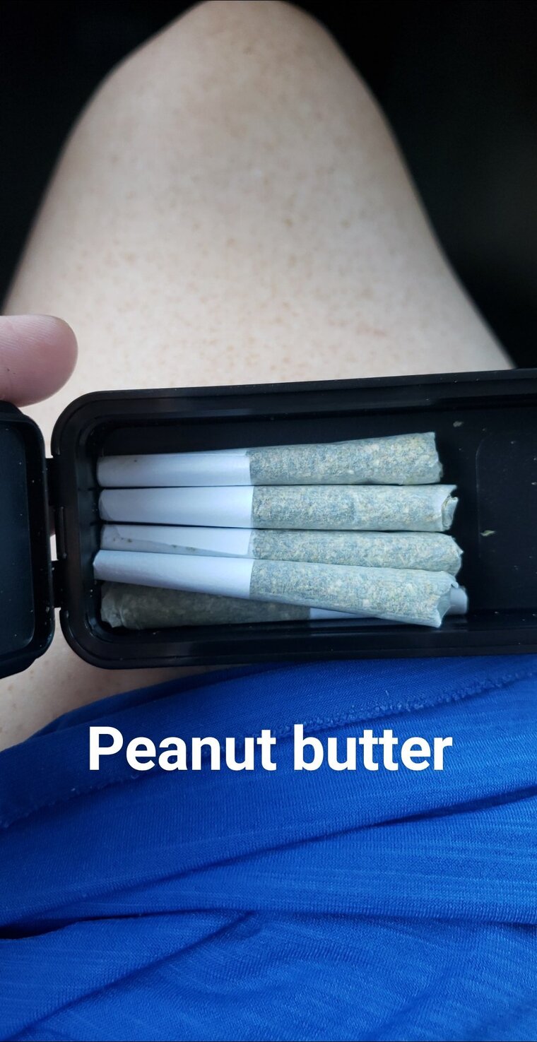 Ginger banner image