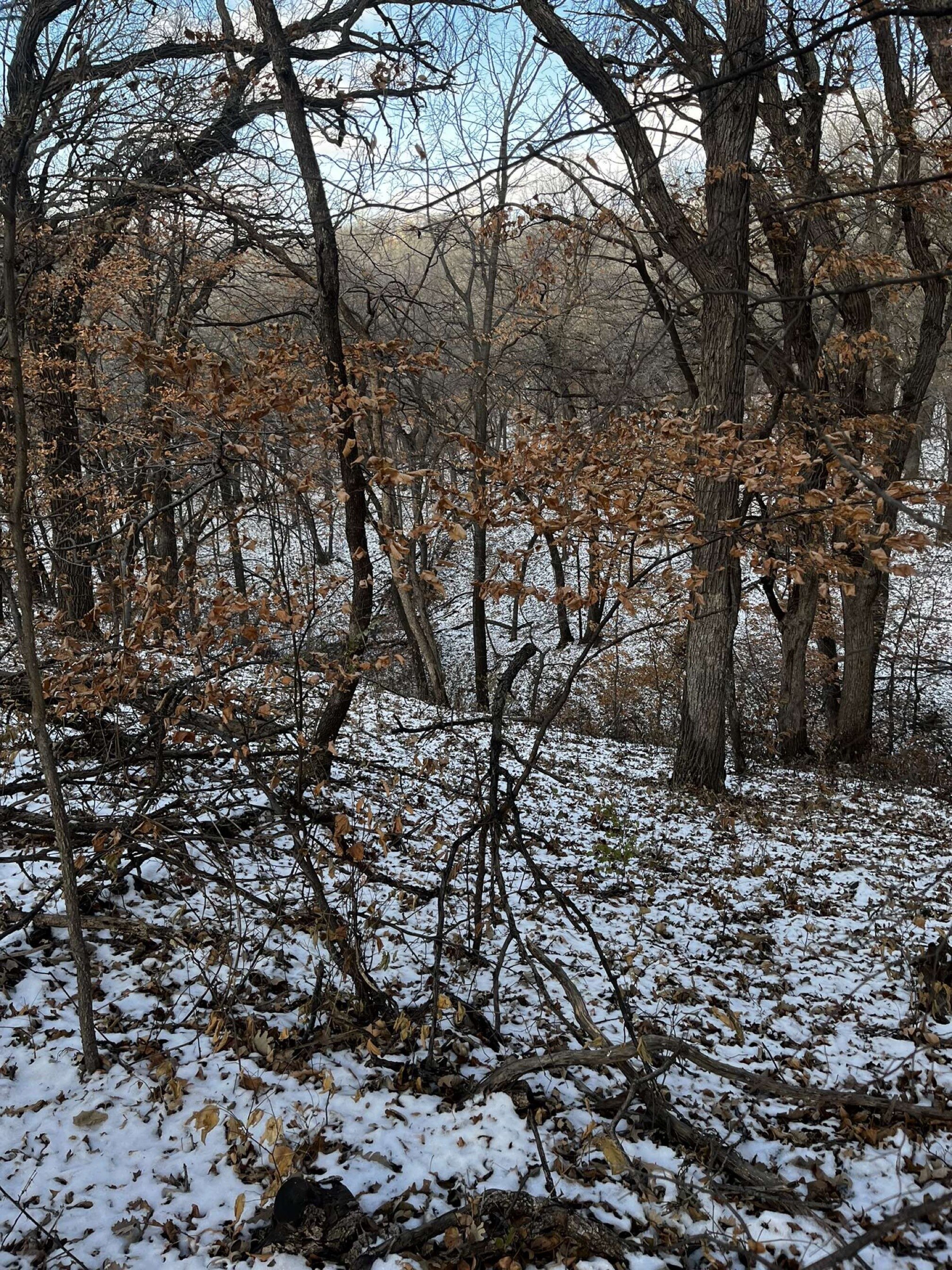 Hillbilly Hotwife banner image