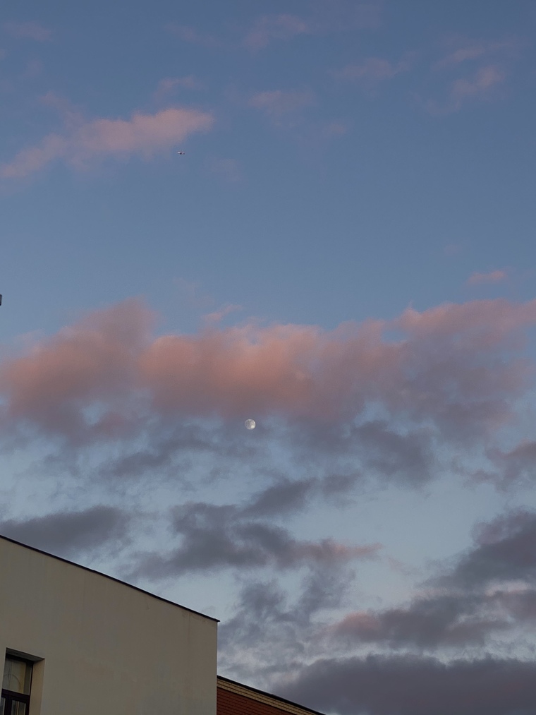 u138444204 cover image