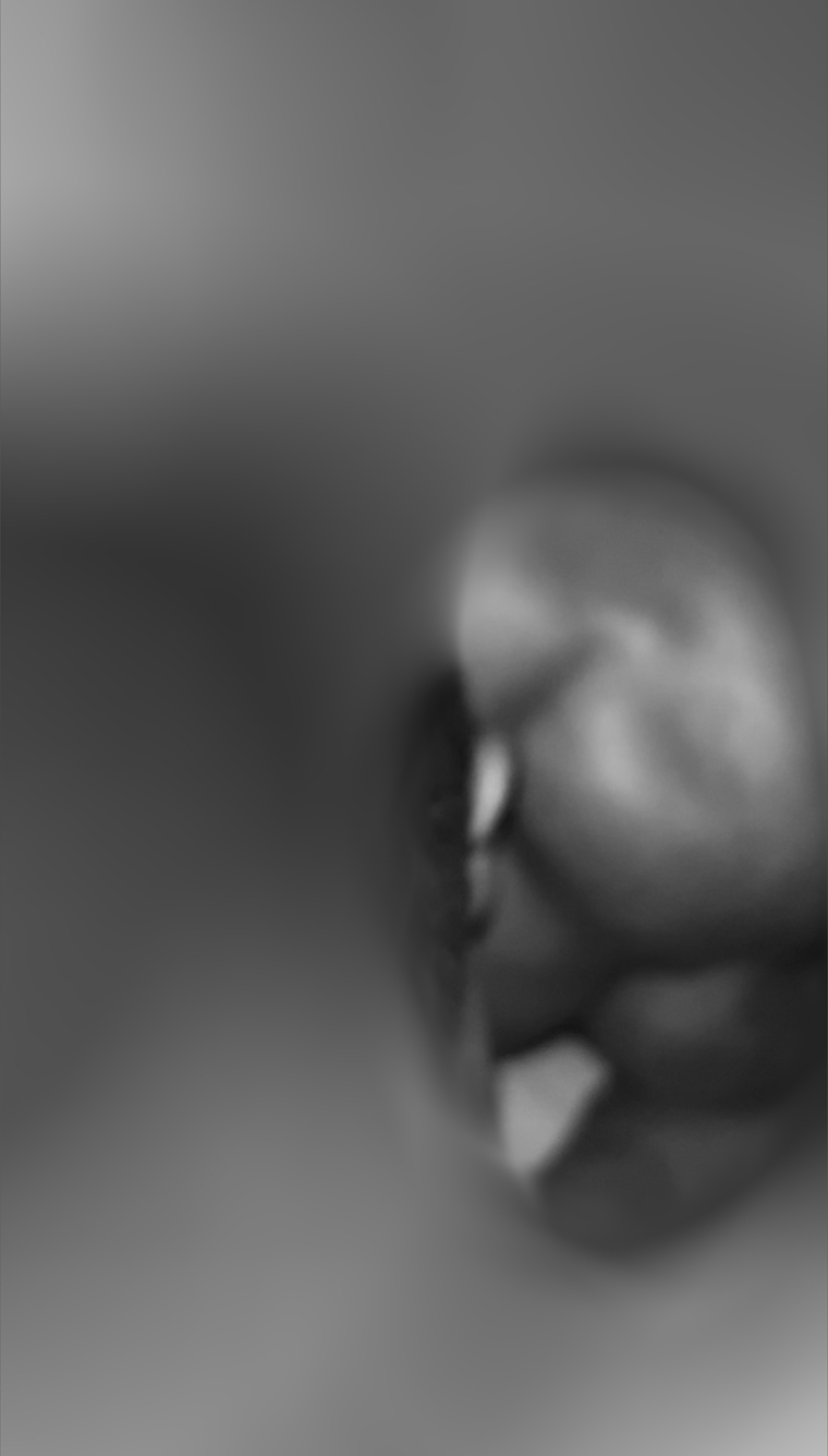 himhoag cover image