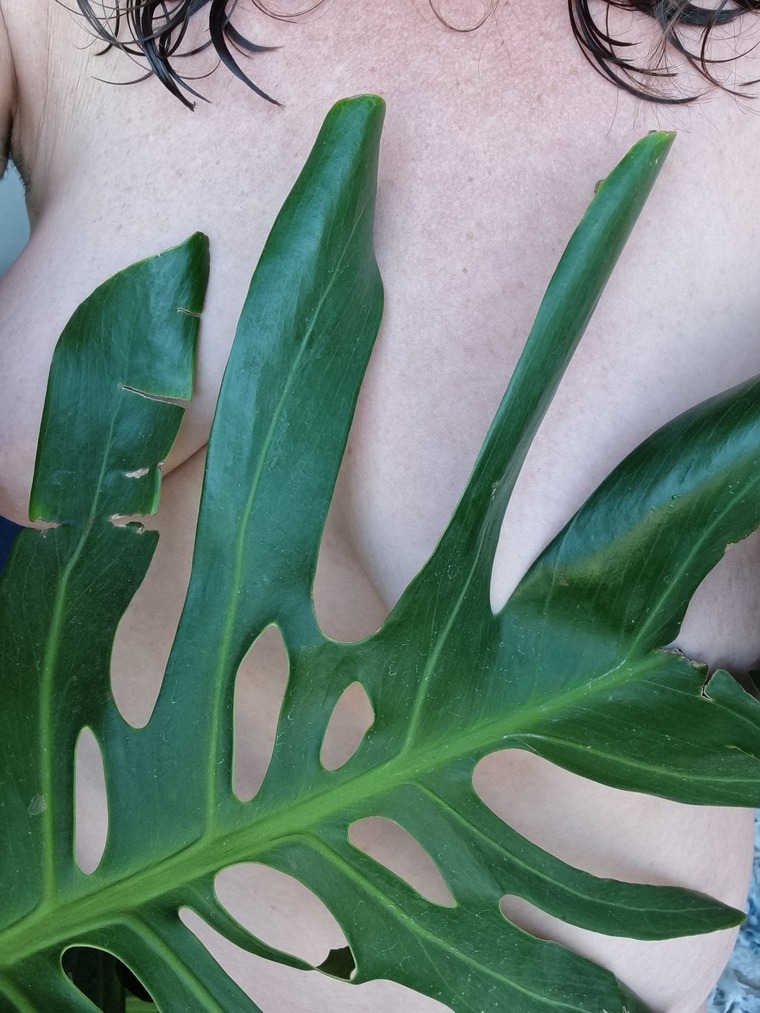 HippieArt banner image