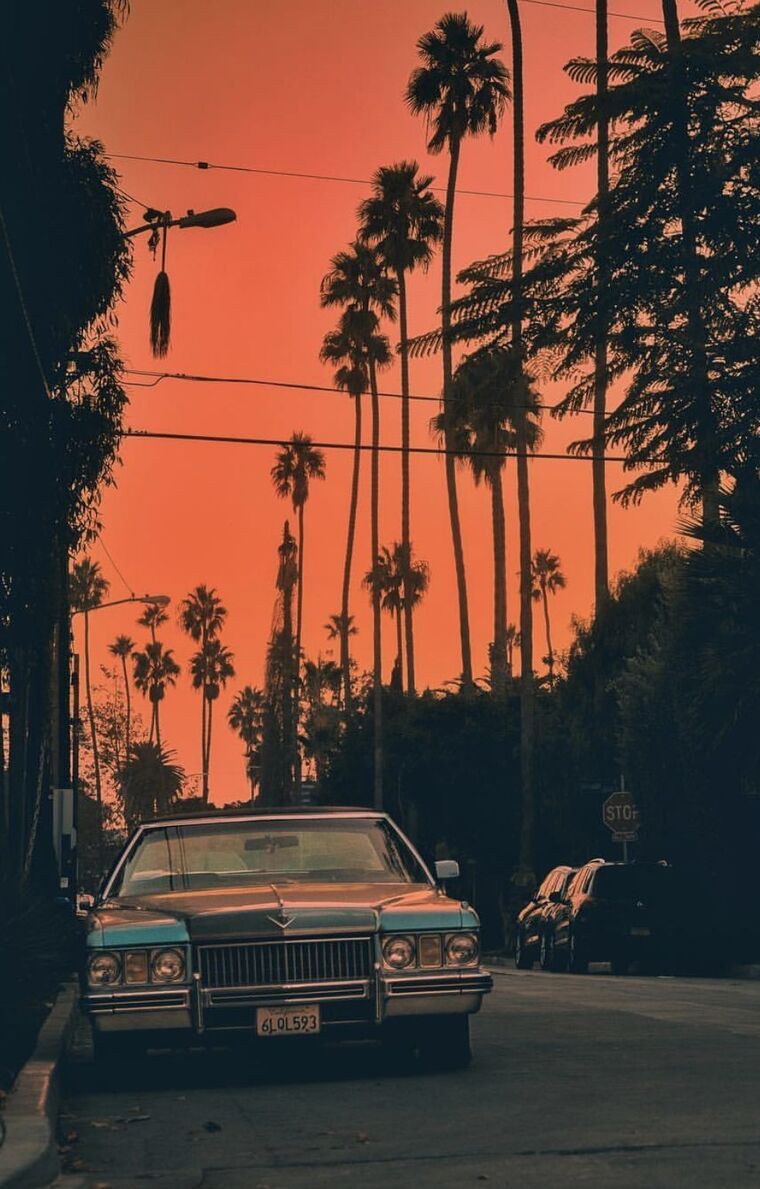 Hippie Lesbian Ebonies✨ cover image