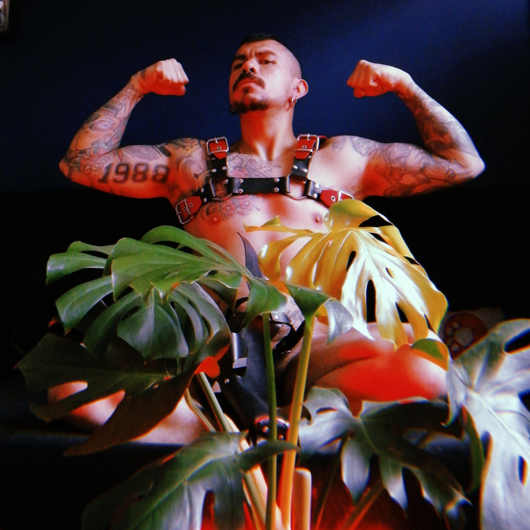 Hole Vandalized cover image