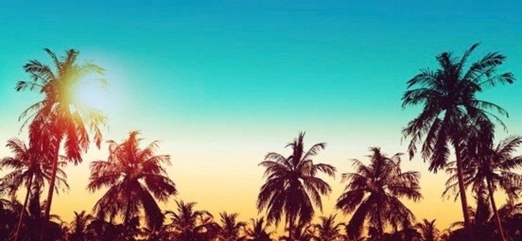 Holisticswag cover image