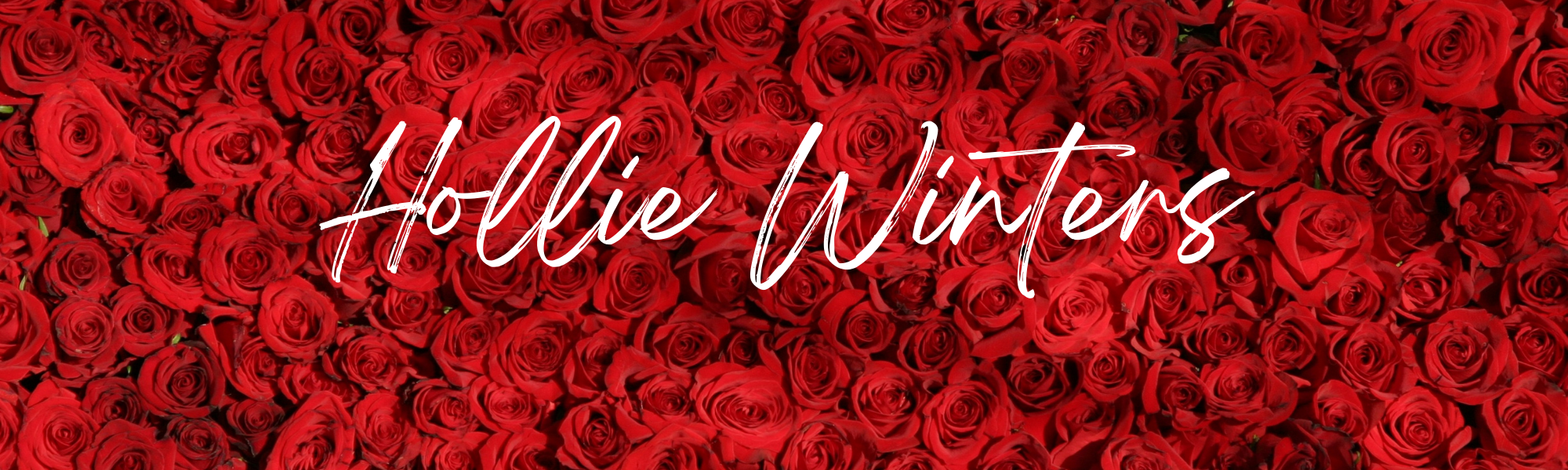Hollie Winters banner image