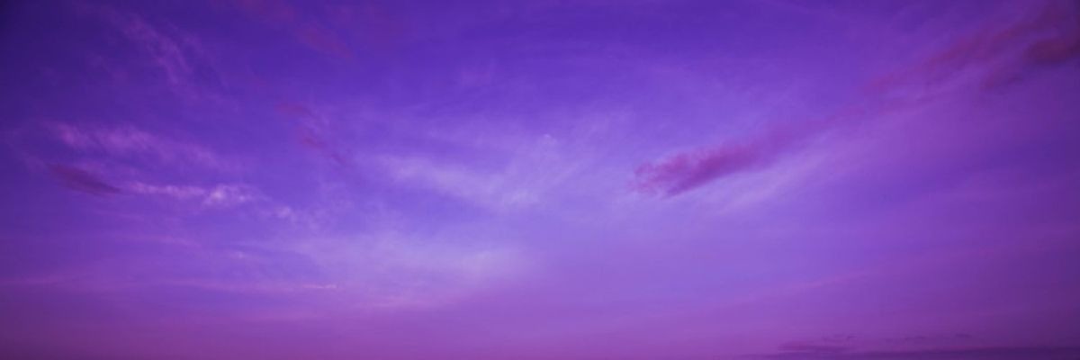 Holly & Cam banner image