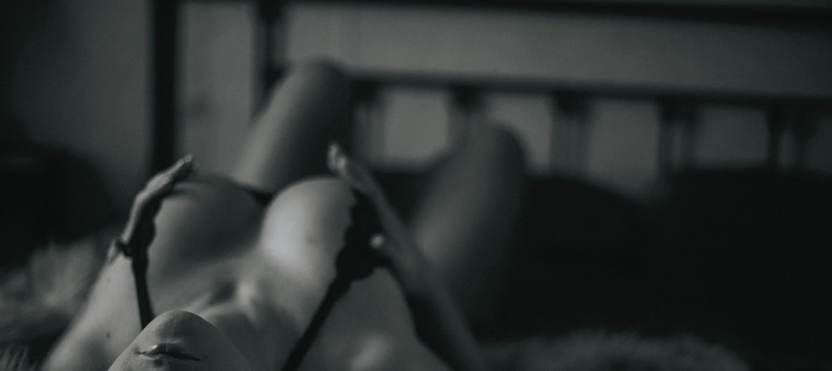Holly banner image
