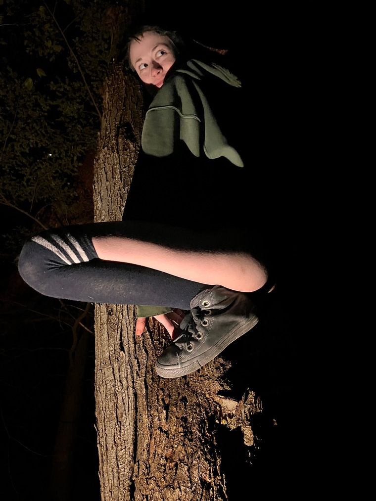 Lee cover image