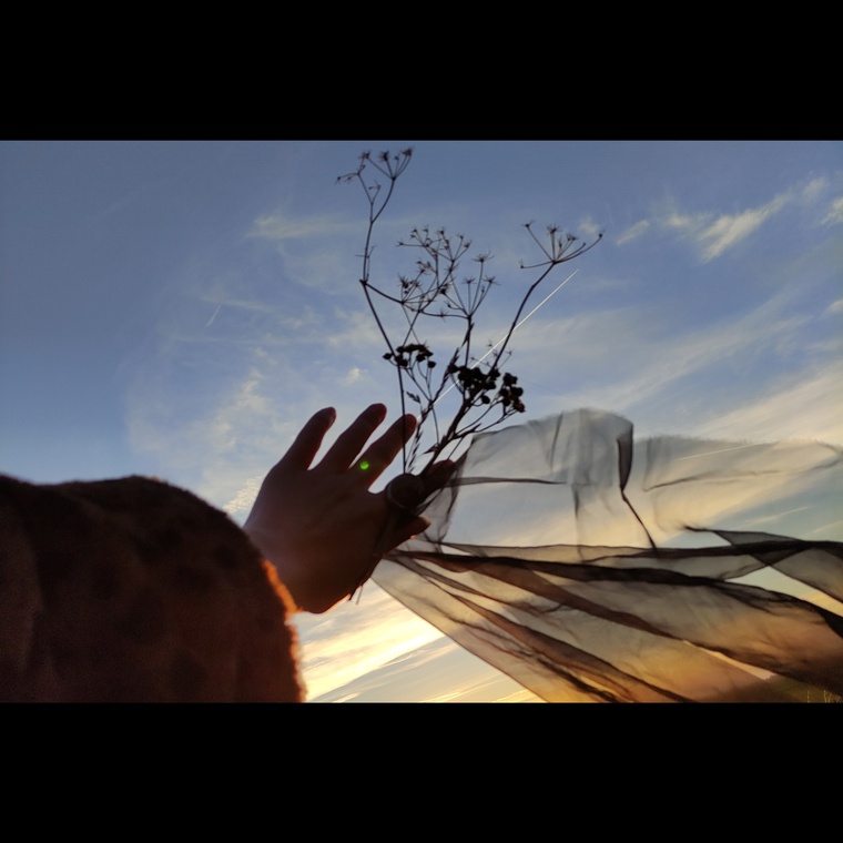 Lô banner image