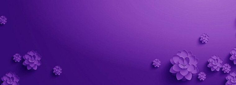 MissLulu banner image