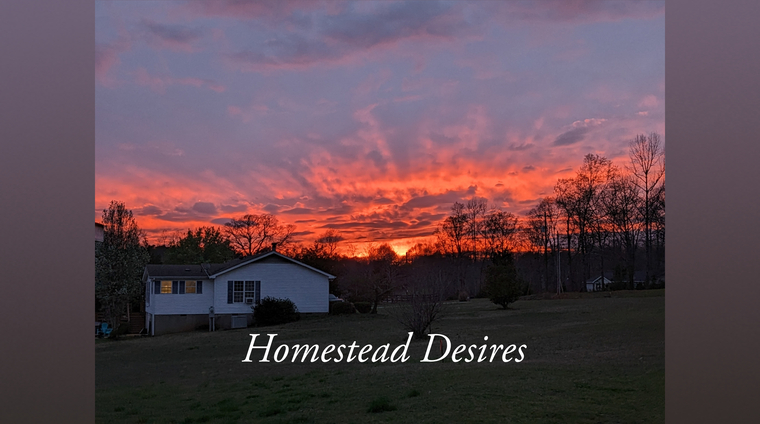 Homestead Desires banner image