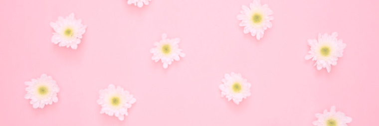 Elia Rose cover image