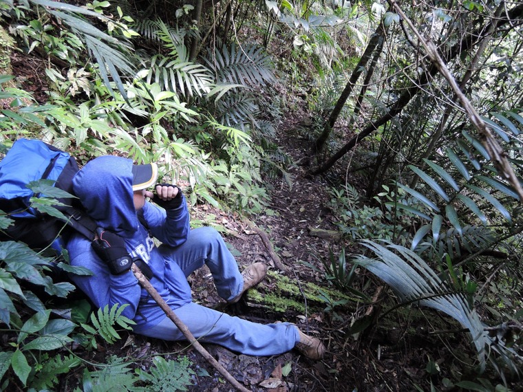 Honduras Producer banner image