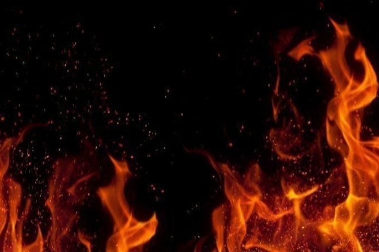 Bonnie banner image