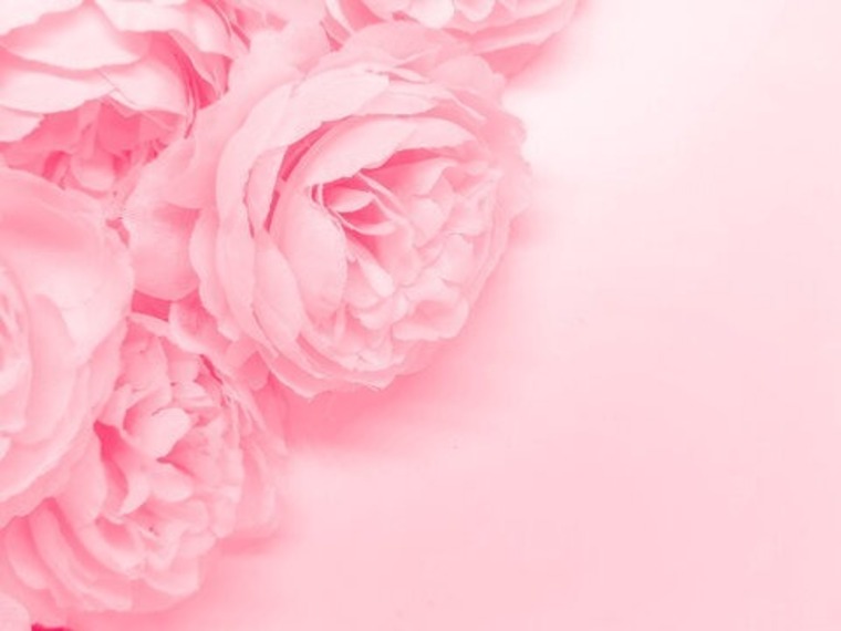 Honey Muffin♡ banner image