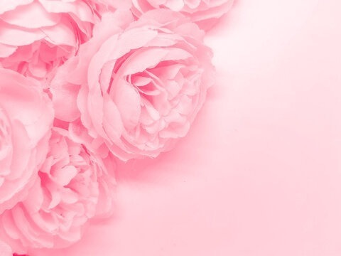 Honey Muffin♡ cover image