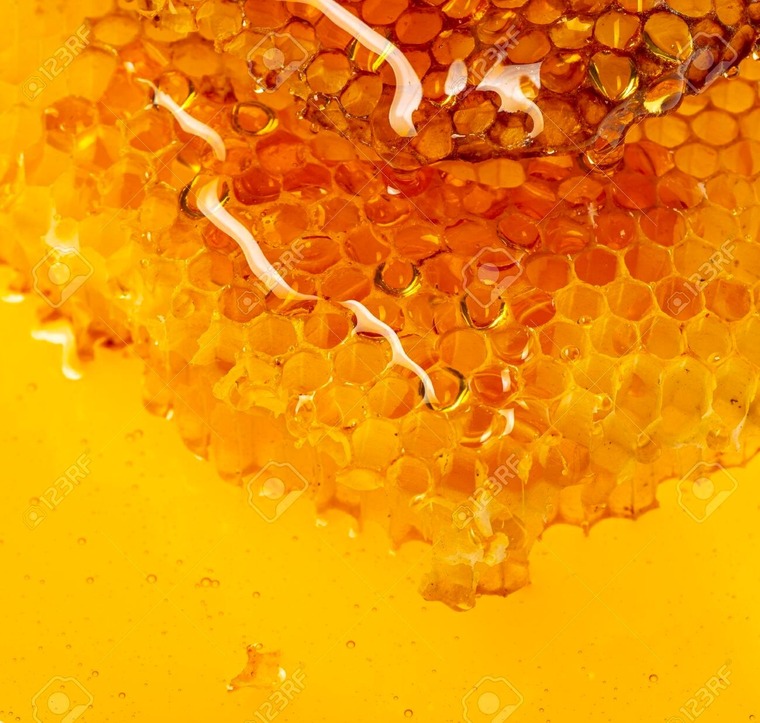Honey banner image