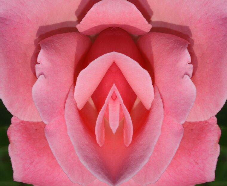 Honey Cocoabutter Goddess banner image