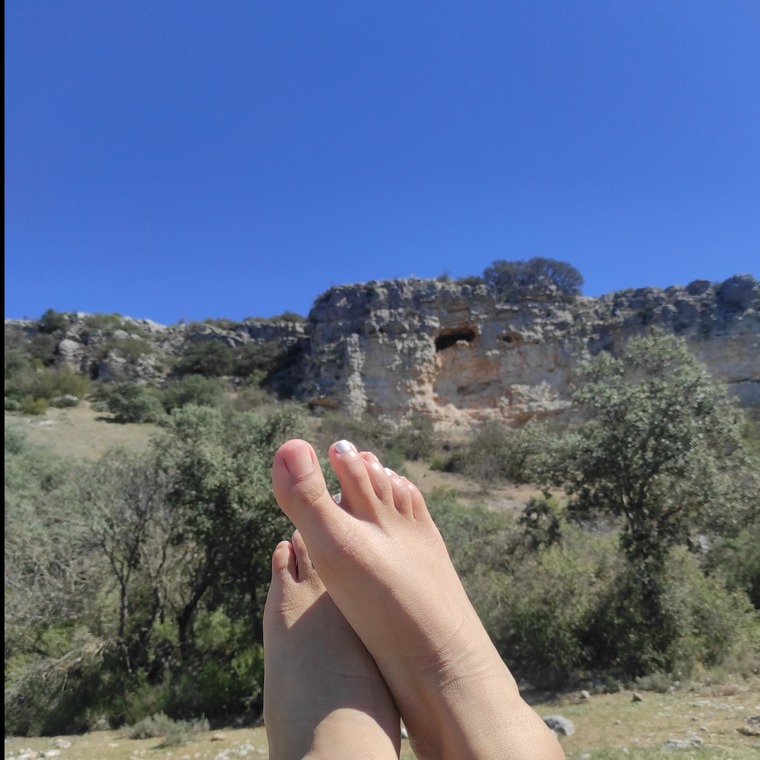 Honey Feet banner image