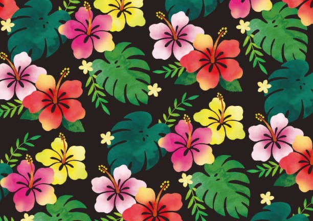 Honey Luella banner image