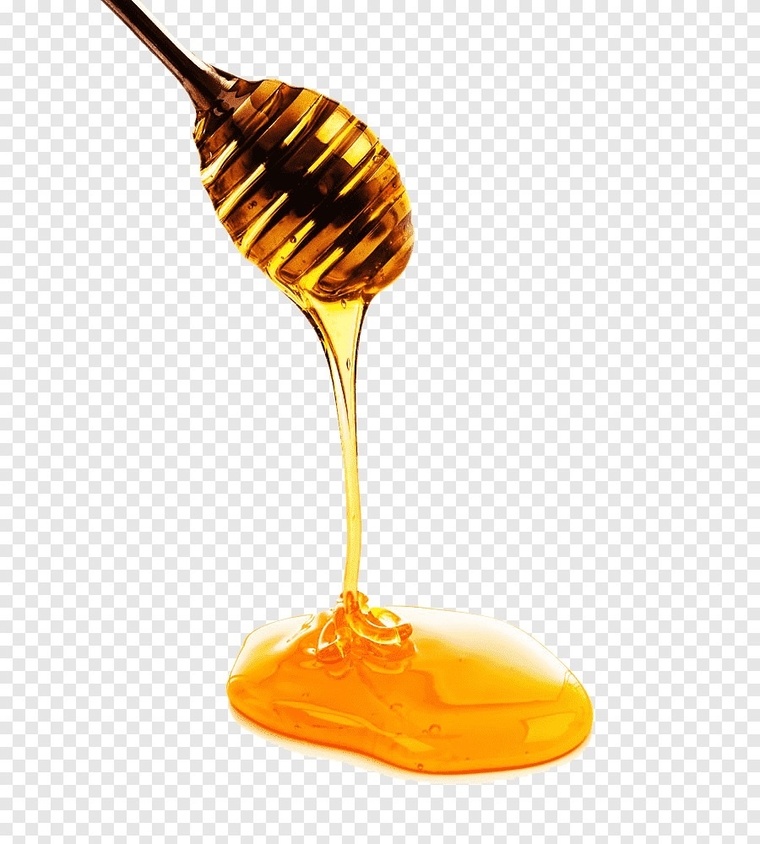 HoneyPot banner image