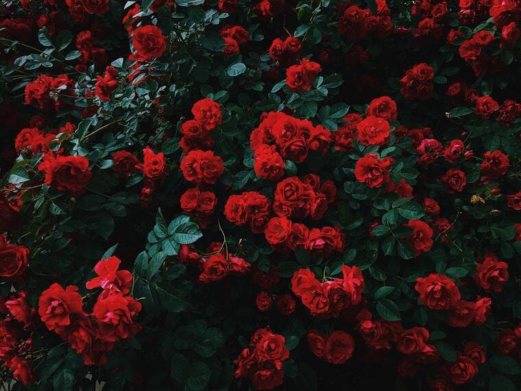 honeyybi™️ cover image