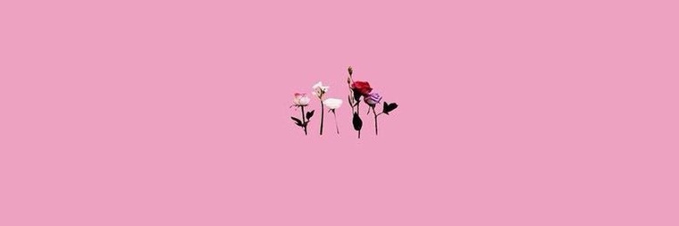 HoneyBunz cover image