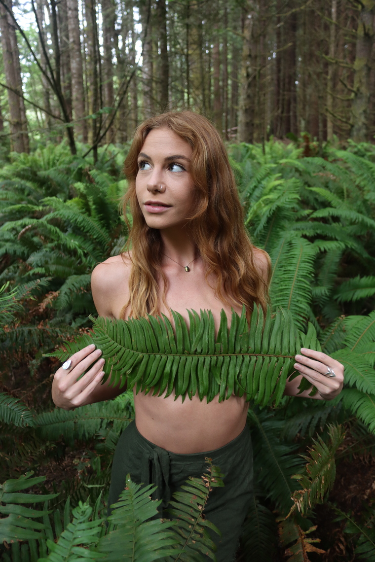 honeyyfern banner image
