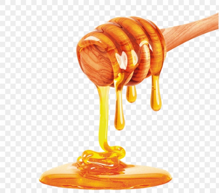 Honeyysapp cover image