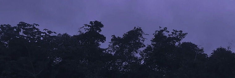 Tiny cover image