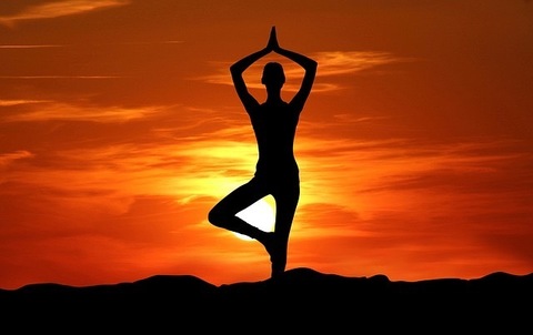 Hoy Yoga cover image