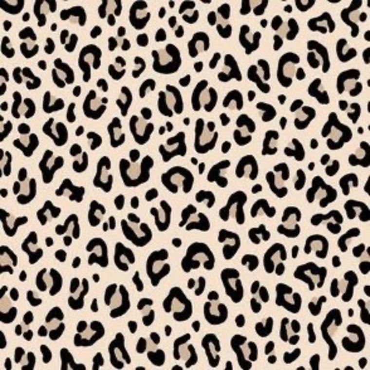 Nicole cover image